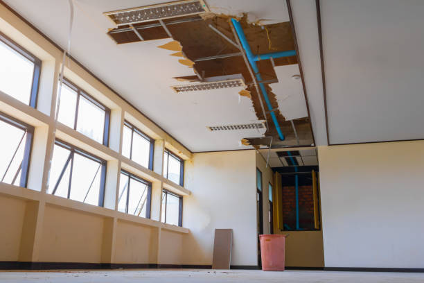 Water damage restoration mold remediation in AR