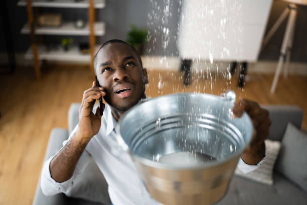 Best Water damage restoration specialists  in Rockwell, AR