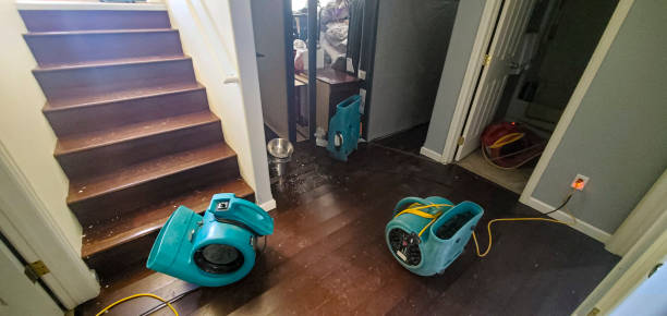 Best Mold removal after water damage  in Rockwell, AR