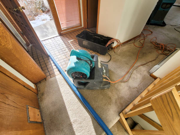 Best Commercial water damage restoration  in Rockwell, AR
