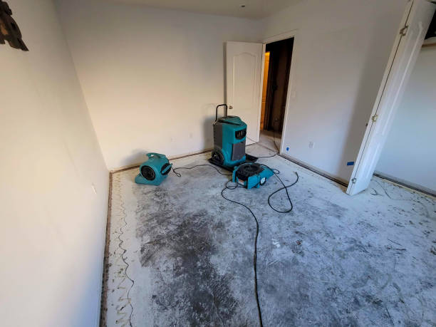 Best Fire Damage Restoration  in Rockwell, AR