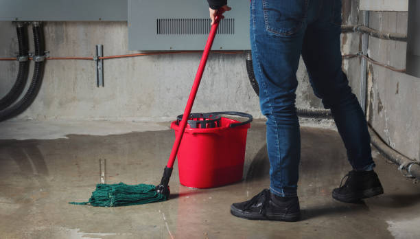 Best Water damage restoration mold remediation  in Rockwell, AR