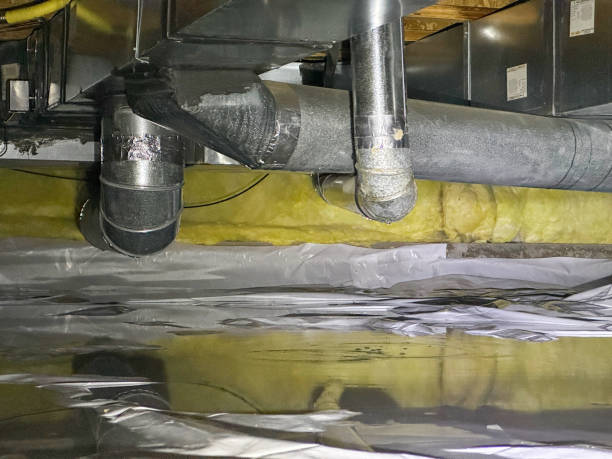 Best Local water damage restoration  in Rockwell, AR
