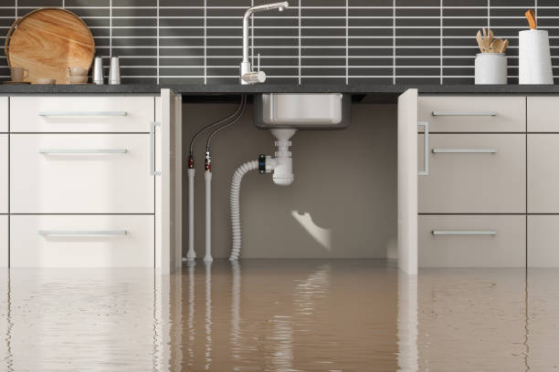 Best Sewage cleanup and water damage restoration  in Rockwell, AR