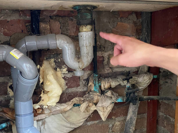 Best Sewage cleanup and water damage restoration  in Rockwell, AR
