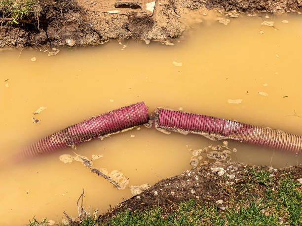 Best Residential water damage restoration  in Rockwell, AR